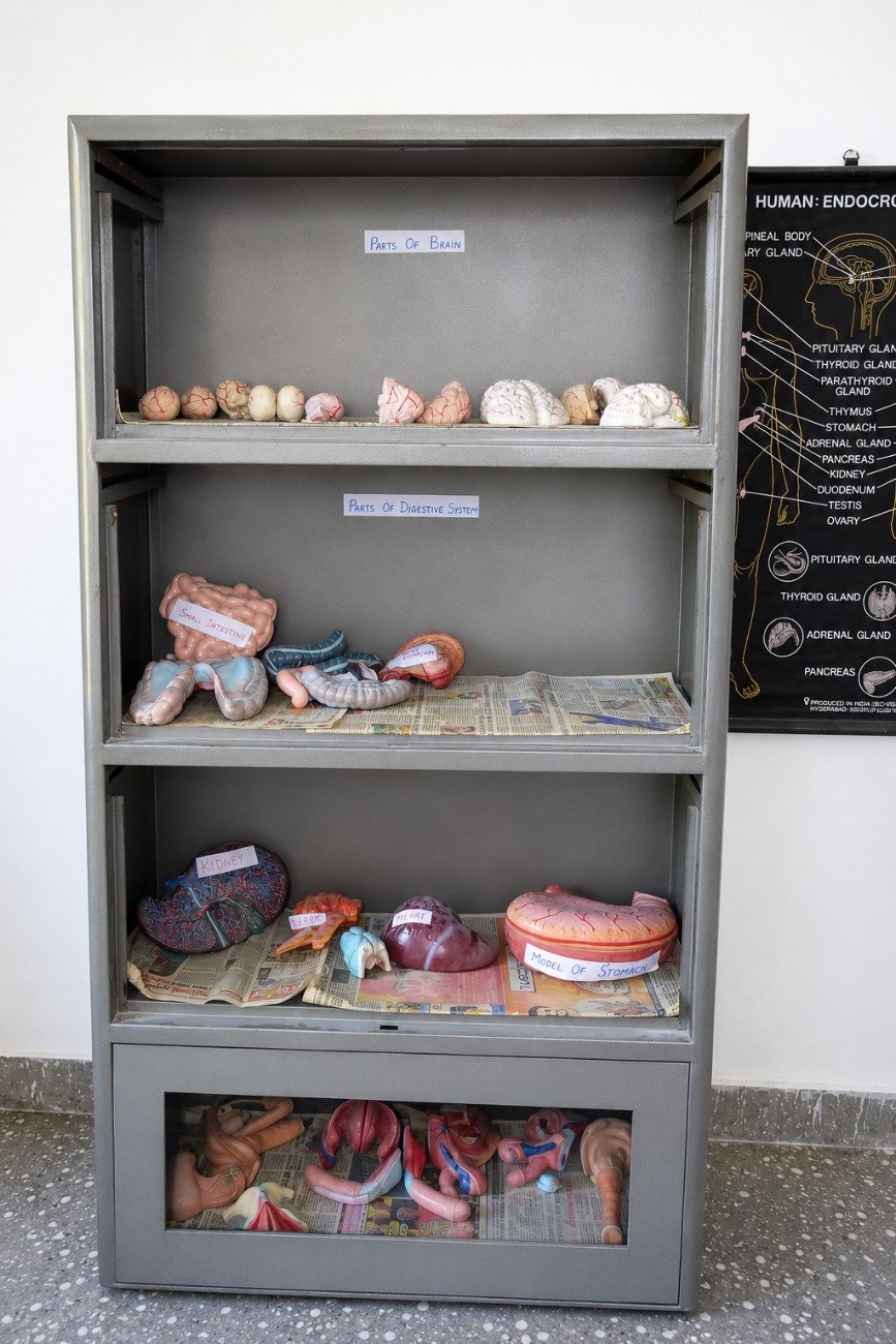 Practical and lab - GINP Gallery