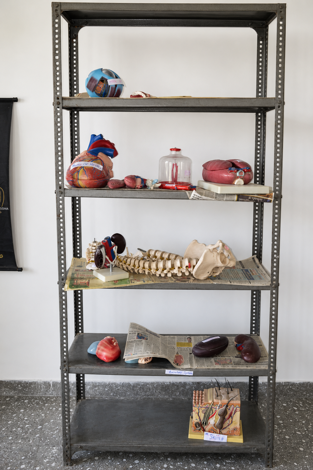 Practical and lab - GINP Gallery
