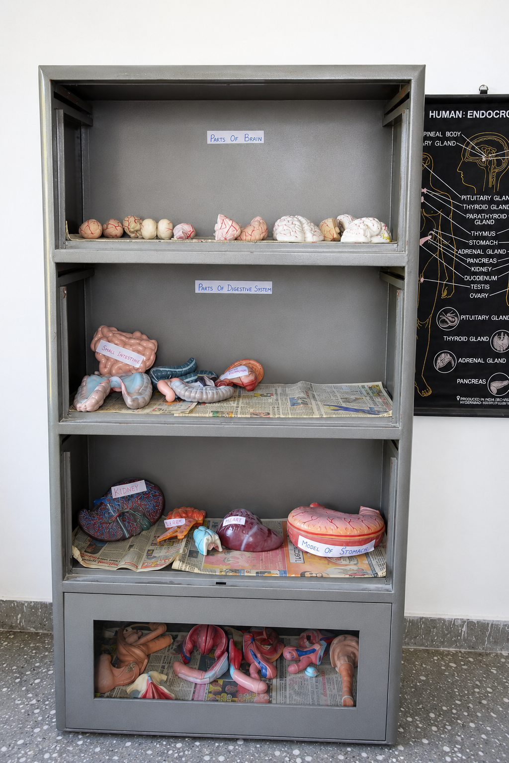 Practical and lab - GINP Gallery